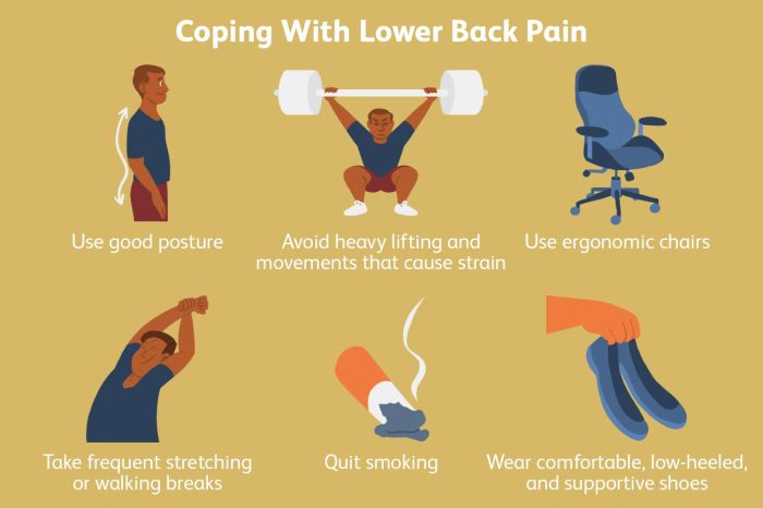 Causes of back pain
